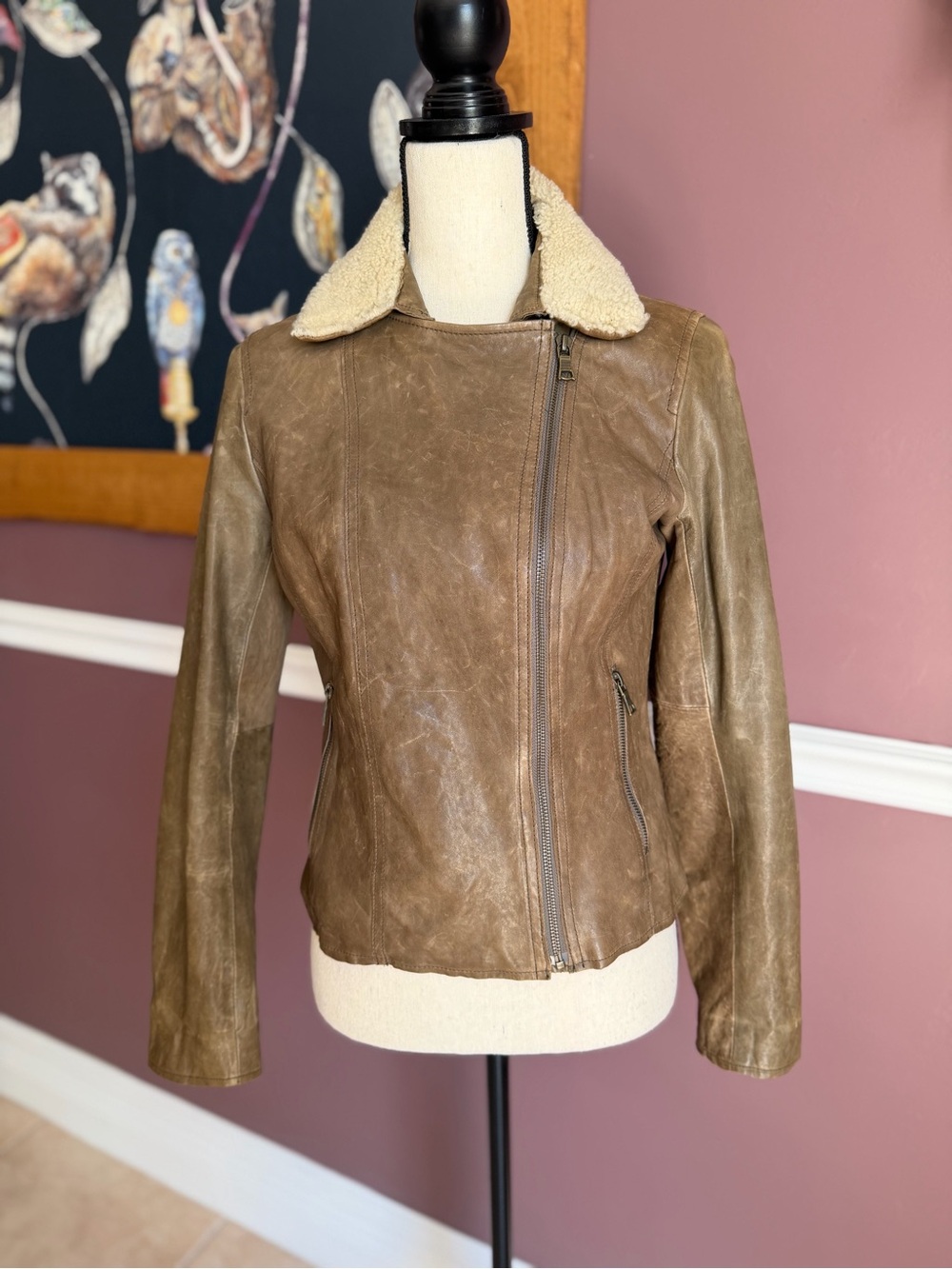 Vintage 2010 Banana Republic Brown Leather Jacket w Sherpa Collar Size Small